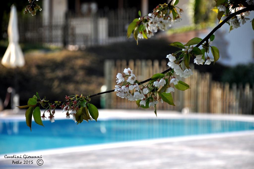 Agriturismo & Agricamping Serena Pastrengo Dış mekan fotoğraf